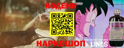 мет Можга