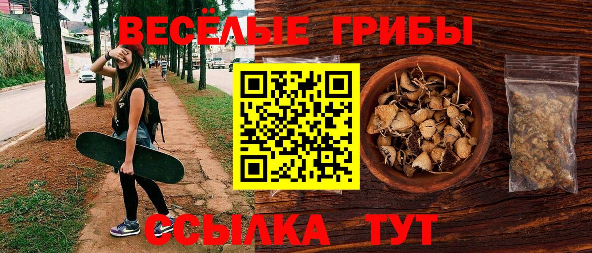 Галлюциногенные грибы GOLDEN TEACHER  где купить наркоту  Галлюциногенные грибы ЛСД  Углич  Вход с VPN 